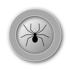 Spider icon