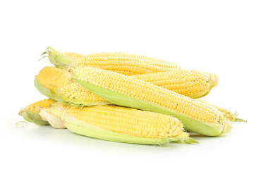 Corns isolated on a white