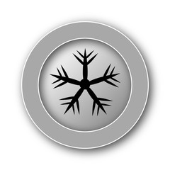 Snowflake icon