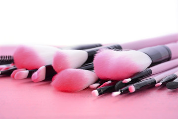 Obraz na płótnie Canvas Makeup Brush Set