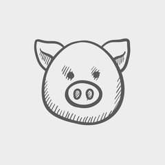 Pig face sketch icon