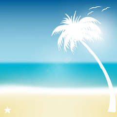 Fototapeta na wymiar Tropischer Strand, mit Sonne, Meer und Palme im Sommer – Hintergrund