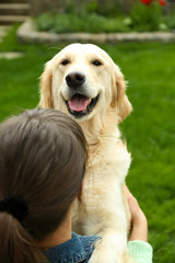 Adorable Labrador with girl on green grass, outdoors