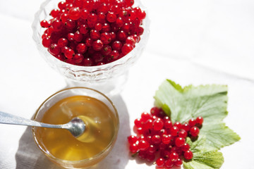 Berries on the table