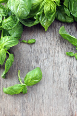 Green fresh basil on wooden background