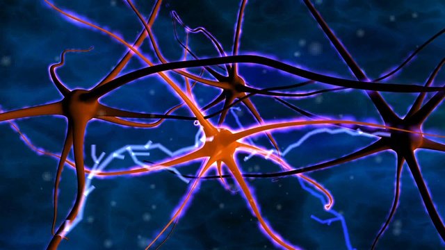 nerve cells with electrical pulses 