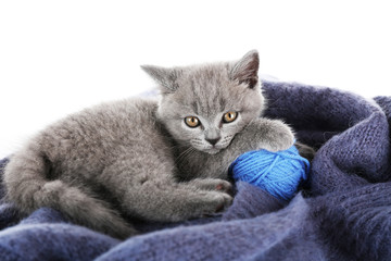 Cute gray kitten with skein of thread on warm plaid isolated on white