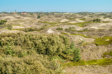 Hilly landscape of the backdunes on the East Frisian island Spiekeroog, Lower Saxony, Germany