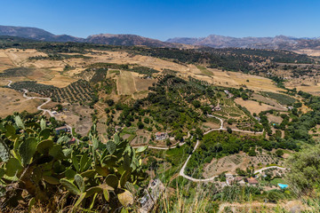 Fototapeta na wymiar Andalusia landscape, countryside road and rock in Ronda, Spain 