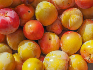 Prune fruits background