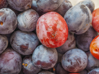 Prune fruits background