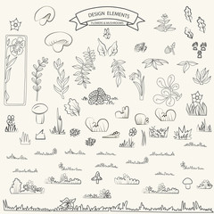 0116_15 flowers and mushrooms