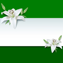 Festive greeting or invitation card, 3d flower lily