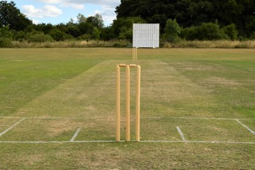 Cricket pitch with wicket and stumps - obrazy, fototapety, plakaty