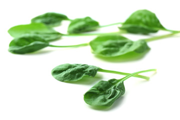 Fresh spinach leaves isolated on white
