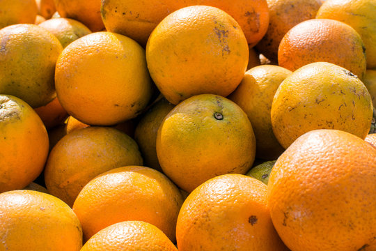 Florida Oranges Background