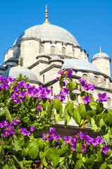 Flowers and in the background the New Mosque in  Istanbul, Turkey