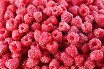 Heap of sweet red raspberries close up