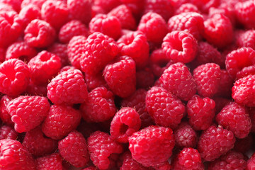 Heap of sweet red raspberries close up