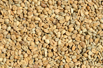 Fresh coffee beans in the hands