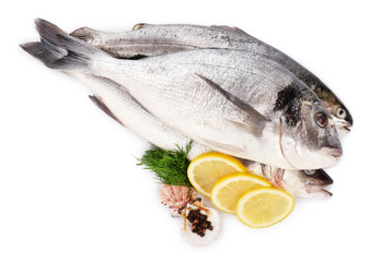 Seafood collection isolated on white