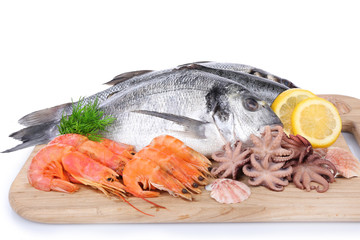 Seafood collection on wooden cutting board, closeup