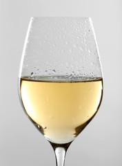 Glass of wine on grey background