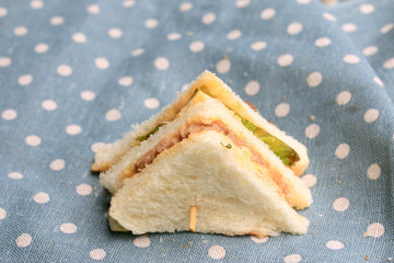 tuna sanwich