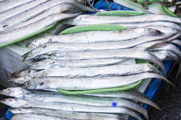 Fresh fishes in a market