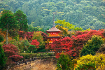 Kiyomizu-dera