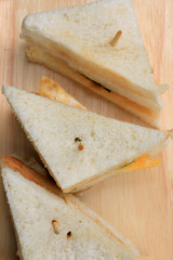 tuna sanwich