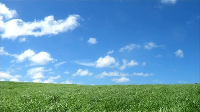 草原と青空と雲