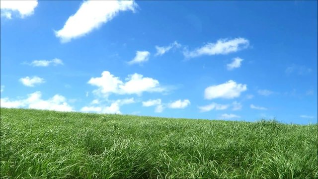 草原と青空と雲