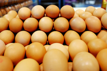 Chicken Eggs