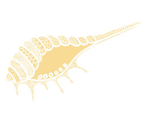 Doodles vector seashell