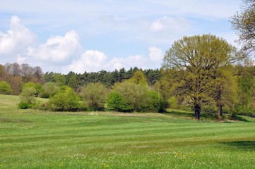 Dahlener Heide in Schmannewitz