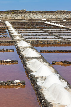 Salt pans still in use at El Carmen Salinas and Salt Museum on the east coast, Caleta de Fuste, Fuerteventura, Canary Islands, Spain