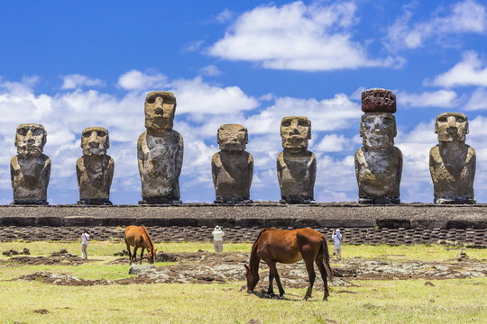 Horses grazing at the 15 moai restored ceremonial site of Ahu Tongariki on Easter Island (Isla de Pascua) (Rapa Nui), Chile