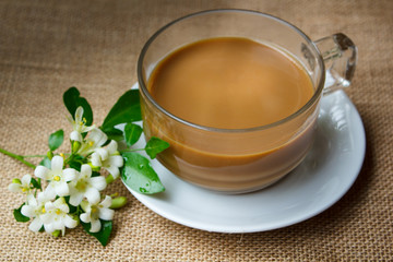 Cup of hot coffee.