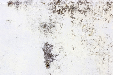 Grey vintage background