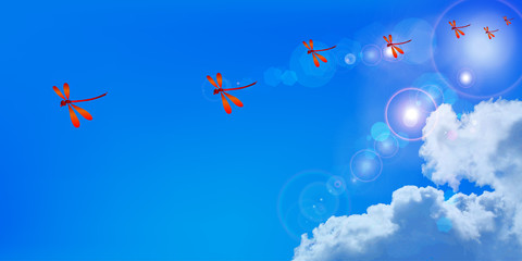 赤とんぼ　空　背景 © J BOY