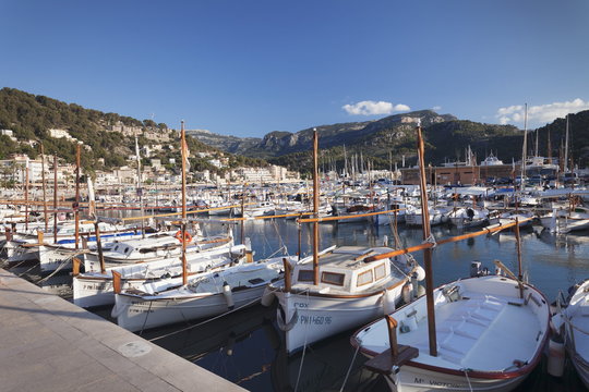 Fishing boats at harbour, Port de Soller, Majorca (Mallorca), Balearic Islands, Spain, Mediterranean