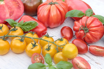 verschiedene Tomaten Sorten Holz Tisch weiß 