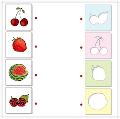 Watermelon, raspberries, cherries and strawberries. Educational