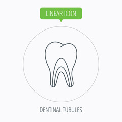 Dentinal tubules icon. Tooth medicine sign.