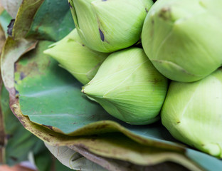 Naklejka premium Lotus flower