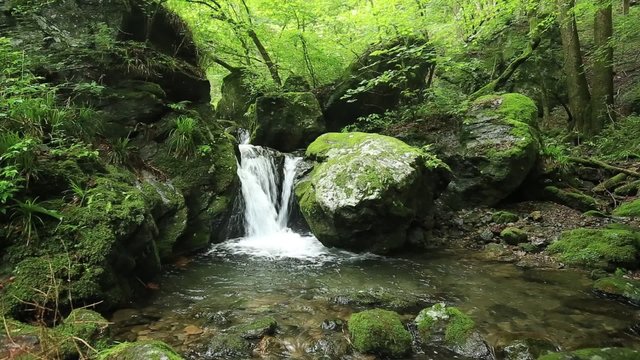 渓流と新緑（東京奥多摩の海澤の三滝）　フィックス