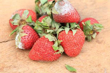Strawberry rotten on wood vintage