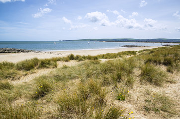 Lovely sand dunes and beach landscape on sunny Summer day
