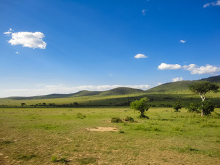 Fototapeta na wymiar Maasai Mara National Reserve in Kenya